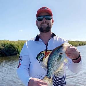 Meet your Posher, Lyle